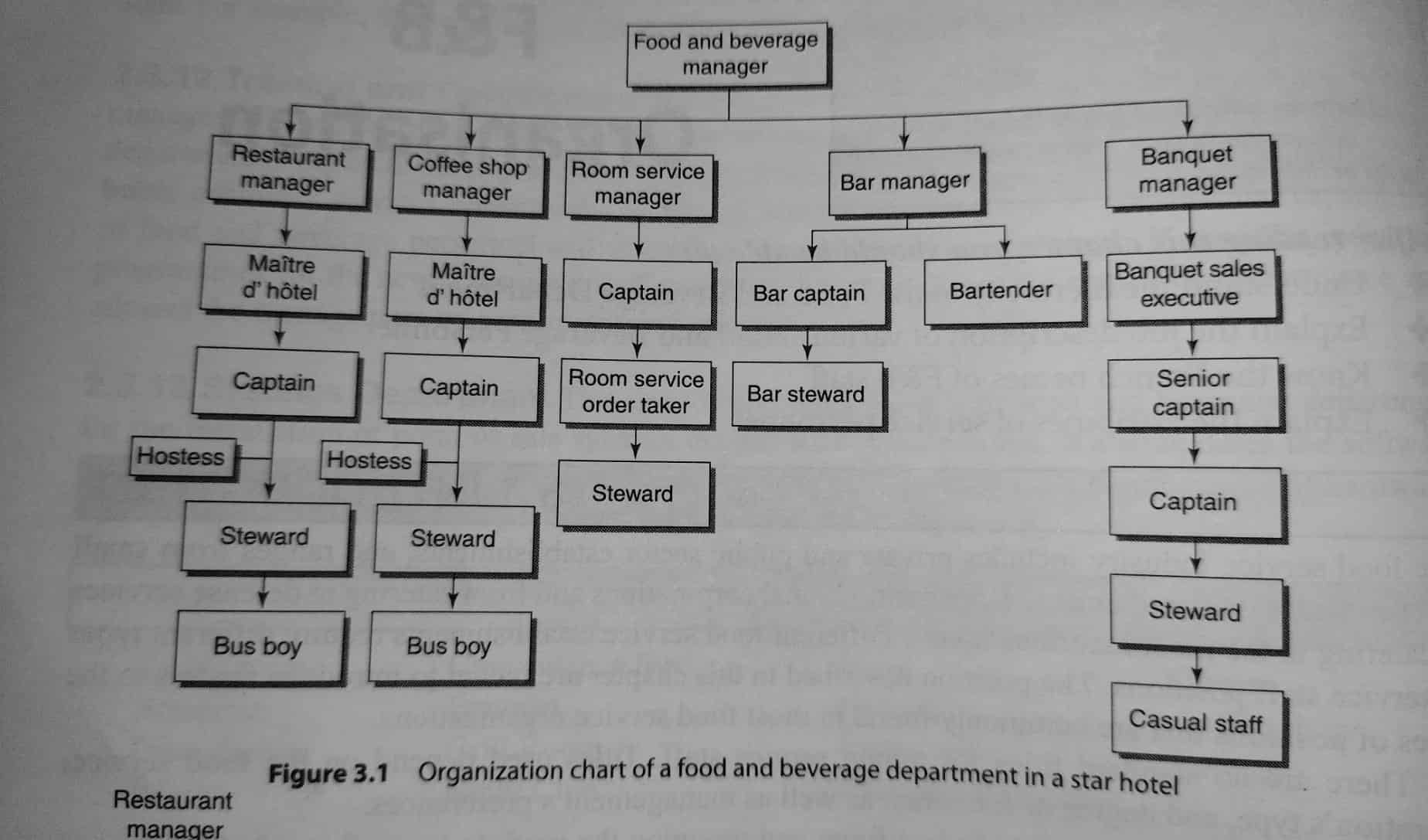 Organization Chart of A Food and beverage department in a star hotel