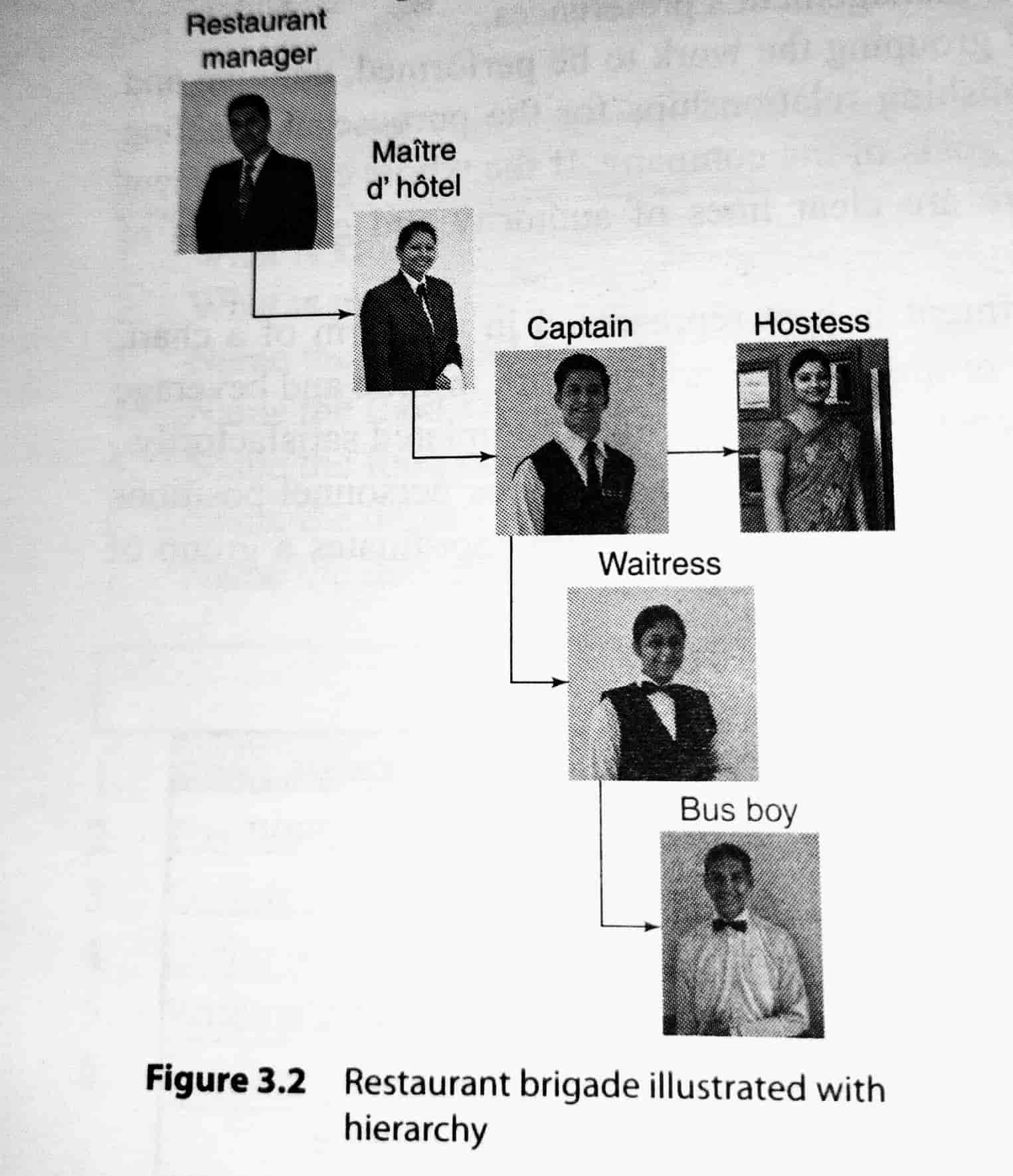 Restaurant brigade illustrated with hierarchy