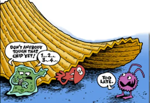 General characteristics of Micro-Organisms based on their occurrence and structure