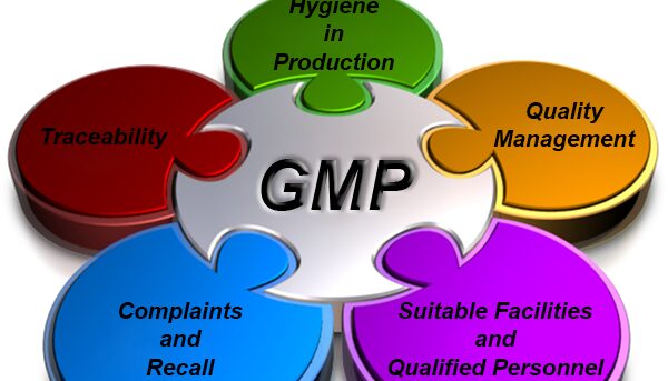 Good Manufacturing Practices (GMP)