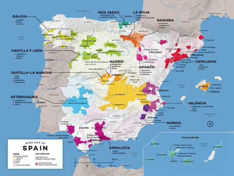 Old World Wines- Spain