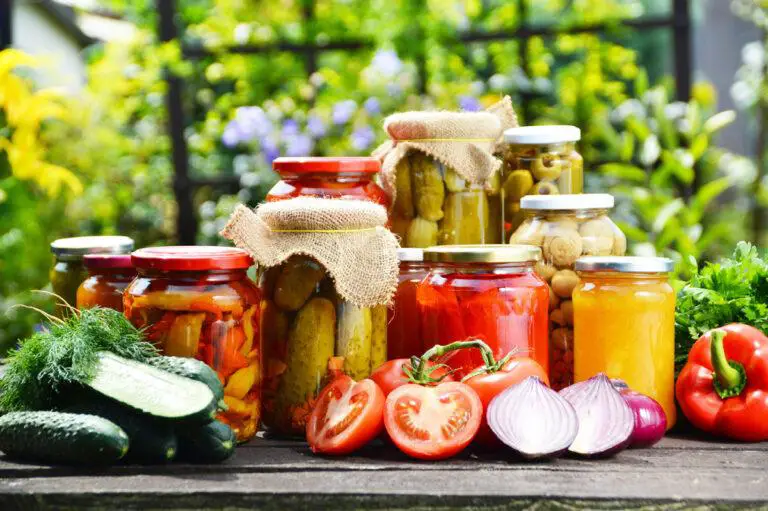 Objectives & Principle Of Food Preservation